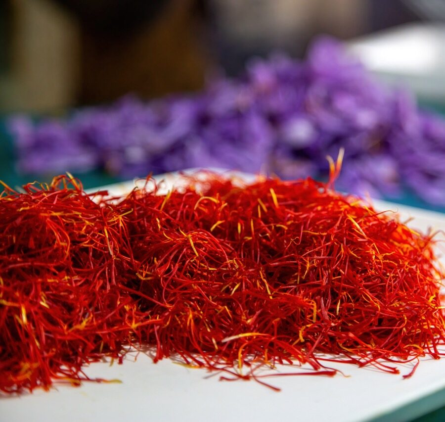 Saffron threads pile, close up, blur purple flower petals background. Crocus stamen separating process, harvest collection season